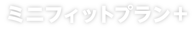ミニフィットプラン＋